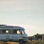 Outdoor-энтузиаст наблюдает за дикими животными с безопасной дистанции