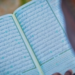 Изучение языков для выживания в дикой природе и outdoor-приключений