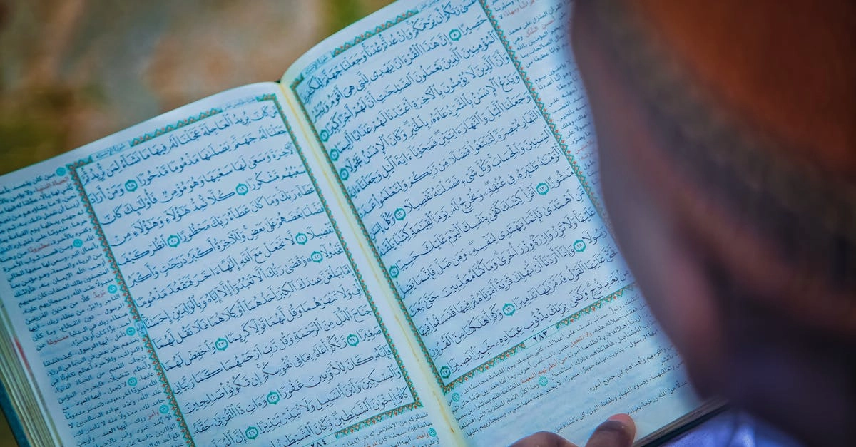 Изучение языков для выживания в дикой природе и outdoor-приключений